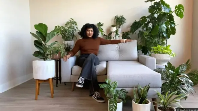 코로나19 시대 실내에 식물을 배치하는 '바이오필릭' 디자인이 각광받고 있다