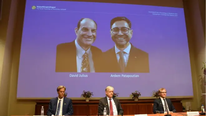 David Julius e Ardem Patapoutia são os ganhadores do Prêmio Nobeljogar aviator demoMedicinajogar aviator demo2021