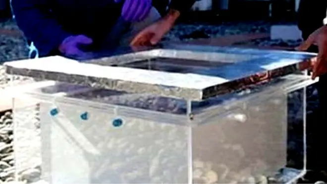 વૉટર હાર્વેસ્ટર અને વૈજ્ઞાનિકો