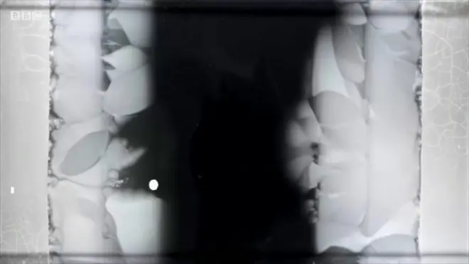 Bakterija protiv antibiotika