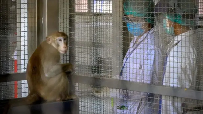 ศูนย์วิจัยไพรเมทแห่งชาติ จุฬาลงกรณ์มหาวิทยาลัย จ.สระบุรี