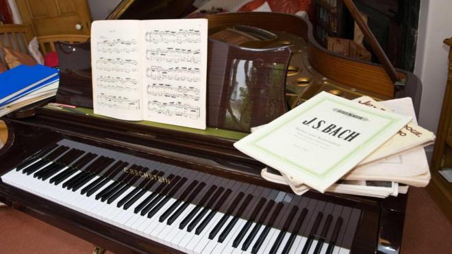 罗兹鼓励钢琴学习者抛弃音阶，直接弹奏自己喜欢的曲子（图片来源：Jeff Morgan / Alamy）