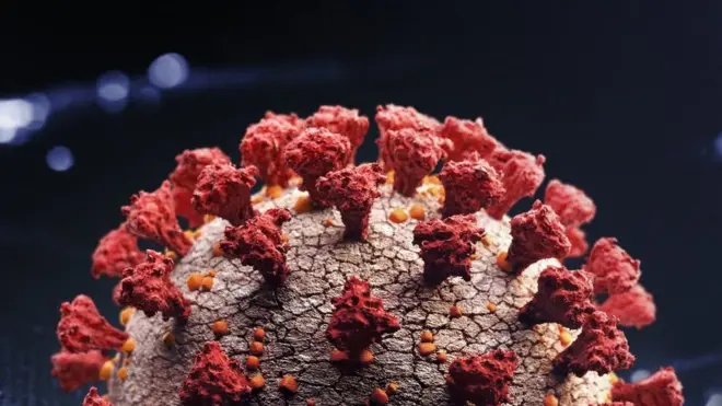 ኮሮናቫይረስ