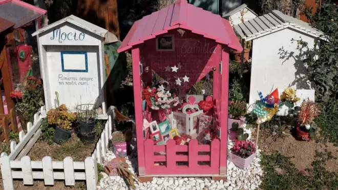 Так виглядає кладовище для домашніх тварин Casa Rosa у Римі