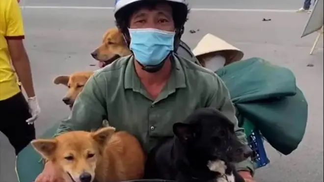 Hành trình về quê cuối cùng của 15 chú chó