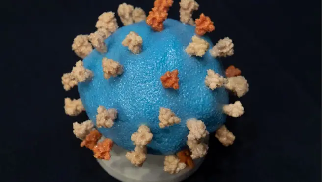 فيروس كورونا