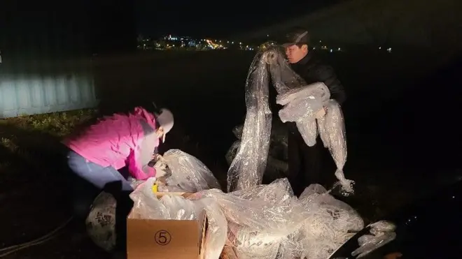 자유북한운동연합은 지난 4월말과 5월말에도 대북전단을 살포했다