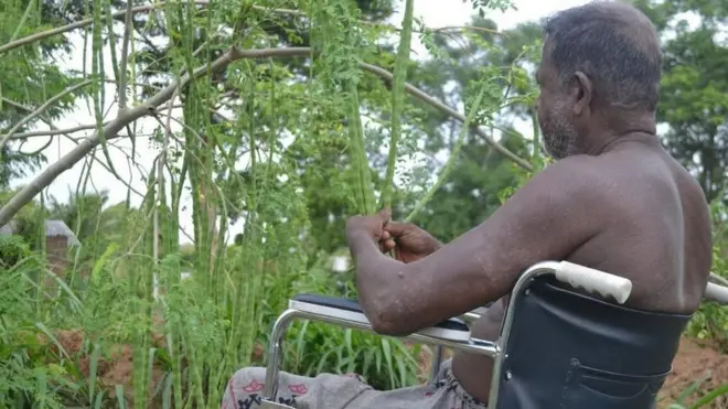 සිරිසේන