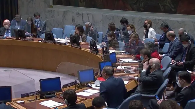 Заседание Совета безопасности ООН