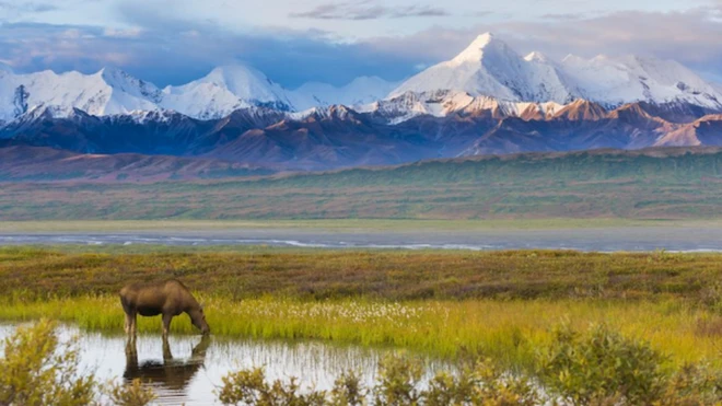 อุทยานแห่งชาติเดนาลีในรัฐอะแลสกาของสหรัฐฯ