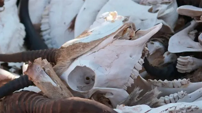 رشته نوسانات اقلیمی در سراسر جهان