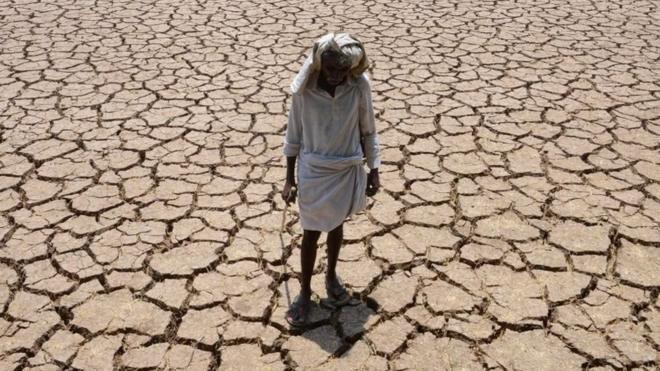 رجل هندي في أرضه الزراعية التي تعاني الجفاف