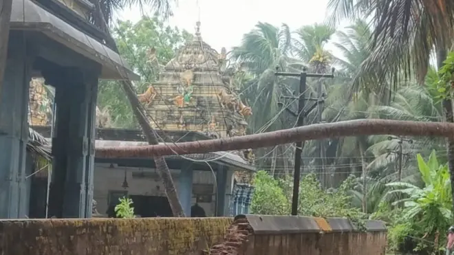 కాకినాడ జిల్లా కాజులూరులో ఆలయ మండపంపై కూలిన కొబ్బరిచెట్టు