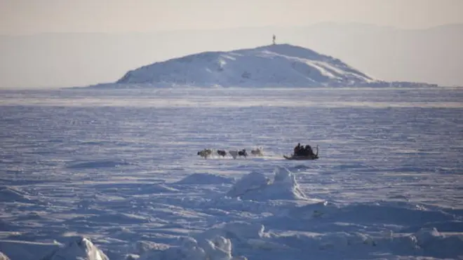 A dogsled in north-western Canada (February 2010)