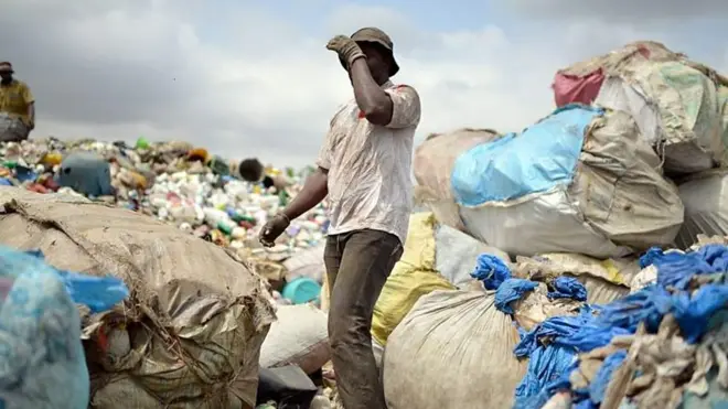 Bacaha oo laga mamnuucay dalka Kenya