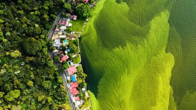 En la foto ganadora del premio del Museobetano da dinheiro mesmoHistoria Naturalbetano da dinheiro mesmoLondres se logra ver claramente los efectosbetano da dinheiro mesmola microcystis, un alga productobetano da dinheiro mesmola contaminación y los cambios en temperaturas.