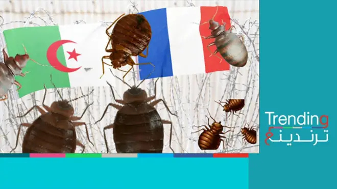 "بق فرنسا" يثير مخاوف في الجزائر ووزير الصحة يرد
