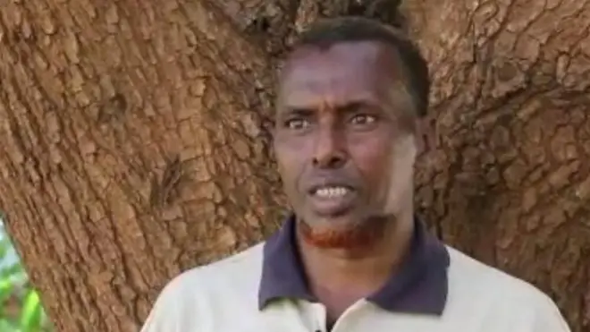 Geed cambe ah ninka dhaxlay