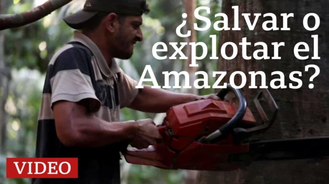 Talador en el Amazonas