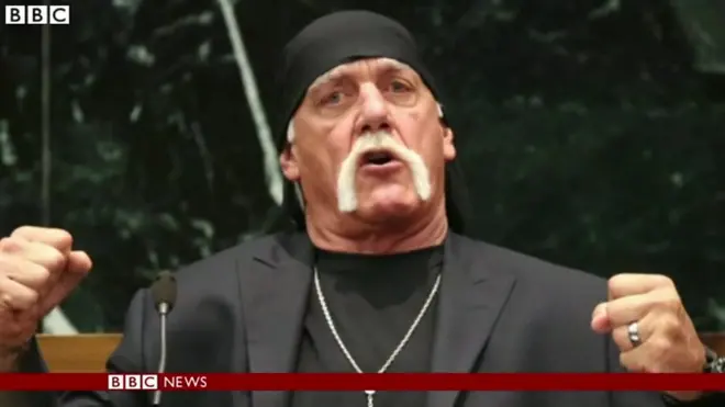 米ウェブサイトに賠償金130億円命令　プロレスラーのセックス映像掲載で