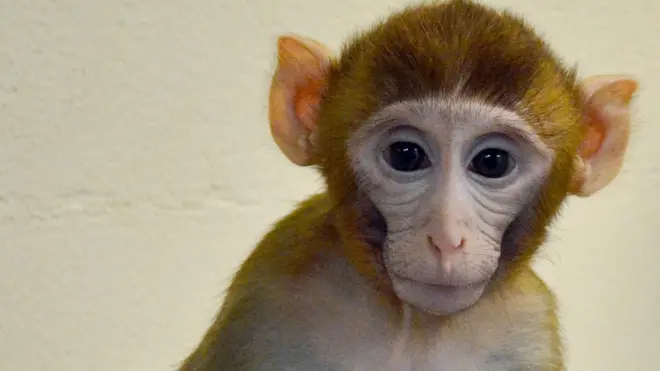 생후 11개월 차 그래디