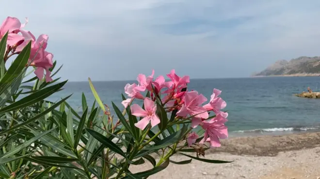 Letovanje ni preko agencija ne treba shvatiti olako