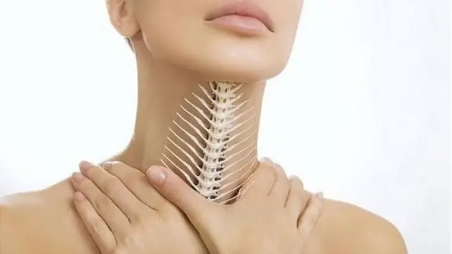 aworan egungun ni ọna ọfun