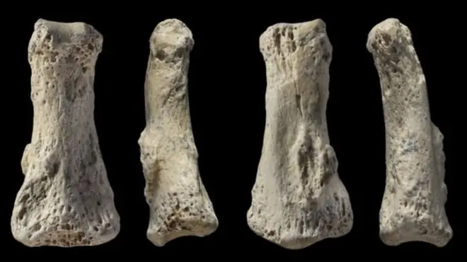 یہ جدید بنی نوع انسان کی انگلیوں کی ہڈیاں ہیں جو سعودی عرب میں کھدائی کے دوران ملی ہیں