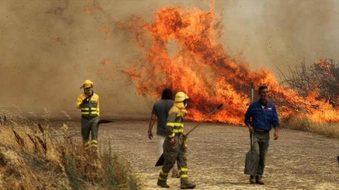 Firefighters from the Brigadas de Refuerzo en Incendios Forestales (BRIF) tackle a fire in a wheat field in Tabara, Zamora, on the second heatwave of the year, in Spain, July 18, 2022