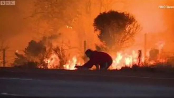 Чоловік рятує кролика з пожежі