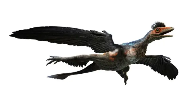 డైనోసార్