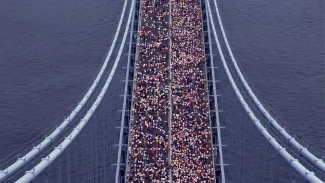 Namoota maraatoonii fiigan