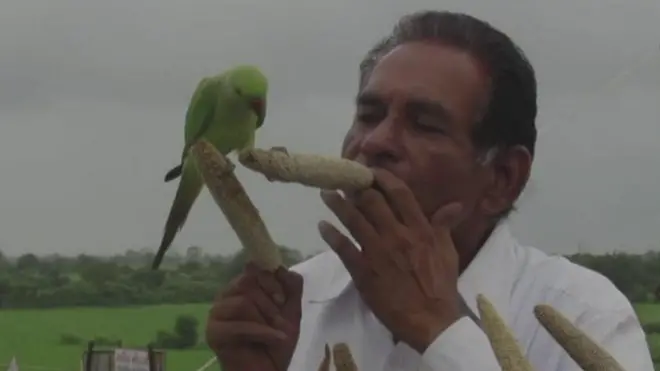 पंछी प्रेमी