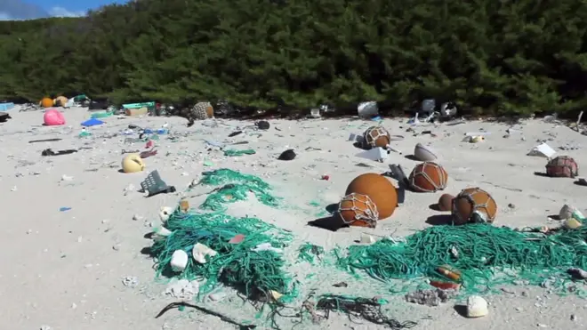 Playa de la isla Henderson