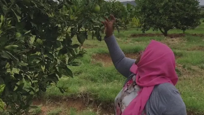 ፈቲሃ መሀመድ