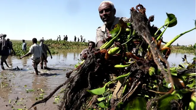 Haroon Xaanaa waggoota darbaniif rakkoolee garaa garaatu mudataa jira