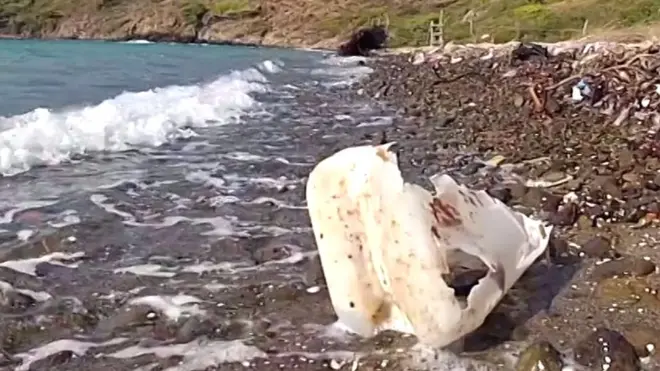 प्रदूषण