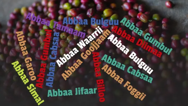 Bunaa fi maqaalee kabajaa Jimmaa