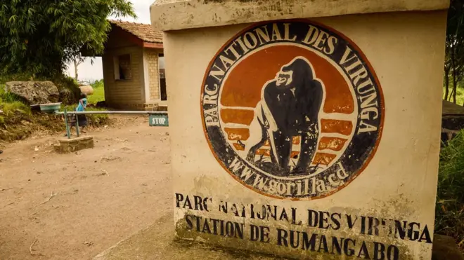 Àwọn Bìrìtìkó òhún rìnrìn àjò afẹ́ lọ sí Virunga National Park ní wọn fi jí wọn gbé