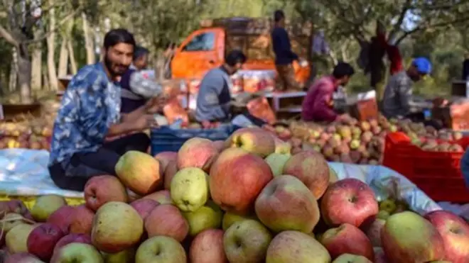 Ono što bacamo treba da se prepolovi, kao i da se poboljšaju poljoprivredne prakse