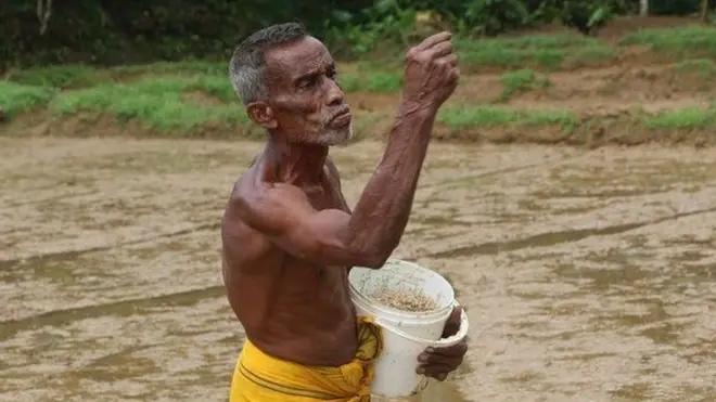 ''දැන් ආණ්ඩුව නිර්දේශ කරන කාබනික පොහොරත් නෑ, රසායනික පොහොරත් නෑ. තෙල් ටිකත් ගිනි ගනං. මේ සේරගෙන්ම බැට කන ගොවියා අන්තිමට වෛර කරන්නේ කාබනික වගාවට.''