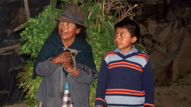 David encontró al sapo en un campo de alfalfa