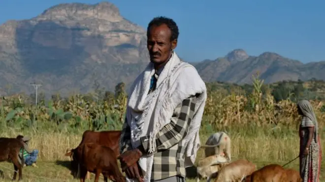 qonnaan bulaa Tigraay keessaa