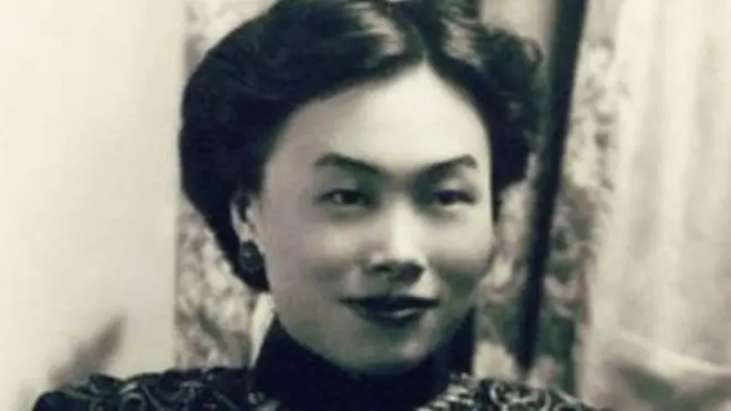 एना शेनॉल ने अपनी शुरुआत चीन में बतौर पत्रकार की थी