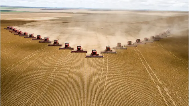 Plantaçãocruzeiro e bahia palpiteMato Grosso do Sul; agrotóxicos são amplamente usados no Brasil