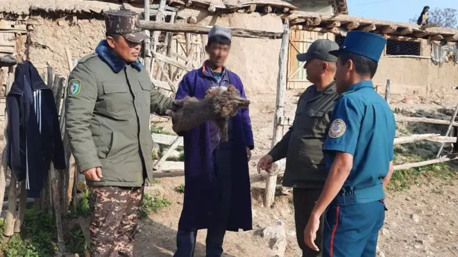 Ўлдрилган айиқ боласи