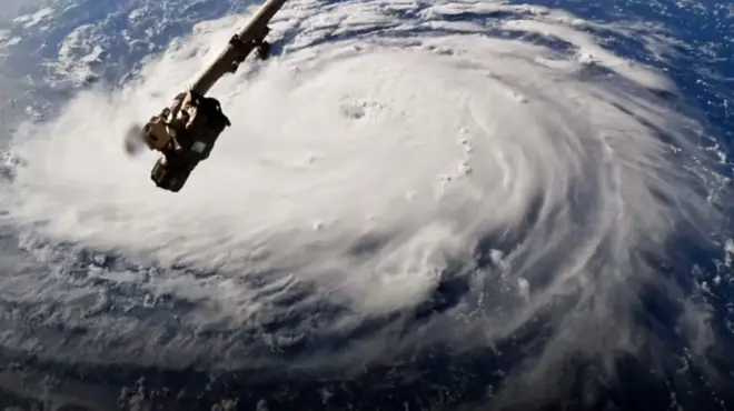 Флоренс суне