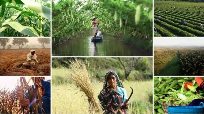 هدر الطعام وتغيير المناخ من أكبر التحديات أمام مشكلة الجوع