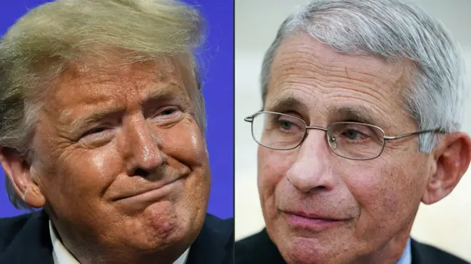 فاةتشي وترامب