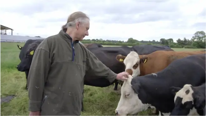 O criadorbetmotion futebolgado vegetariano que decidiu salvar suas vacas do abatedouro